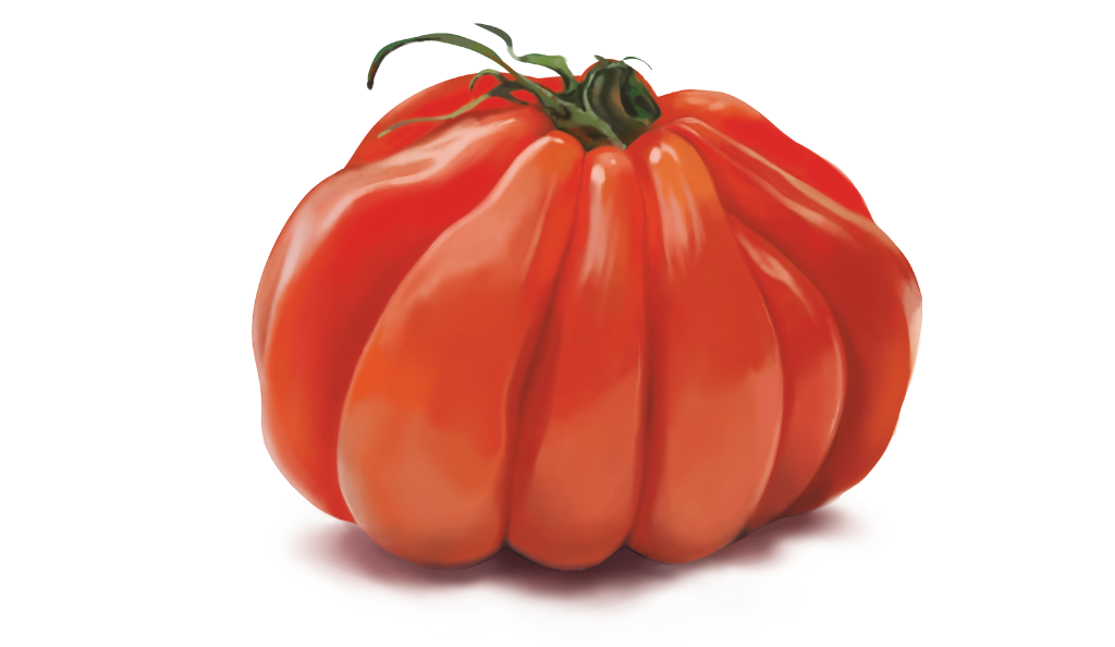 Illustration Bild6 - Silja Schulthess Grafik und Illustration