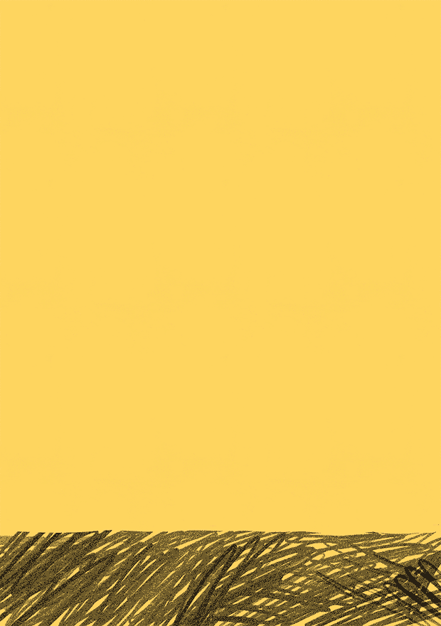  - Silja Schulthess Grafik und Illustration