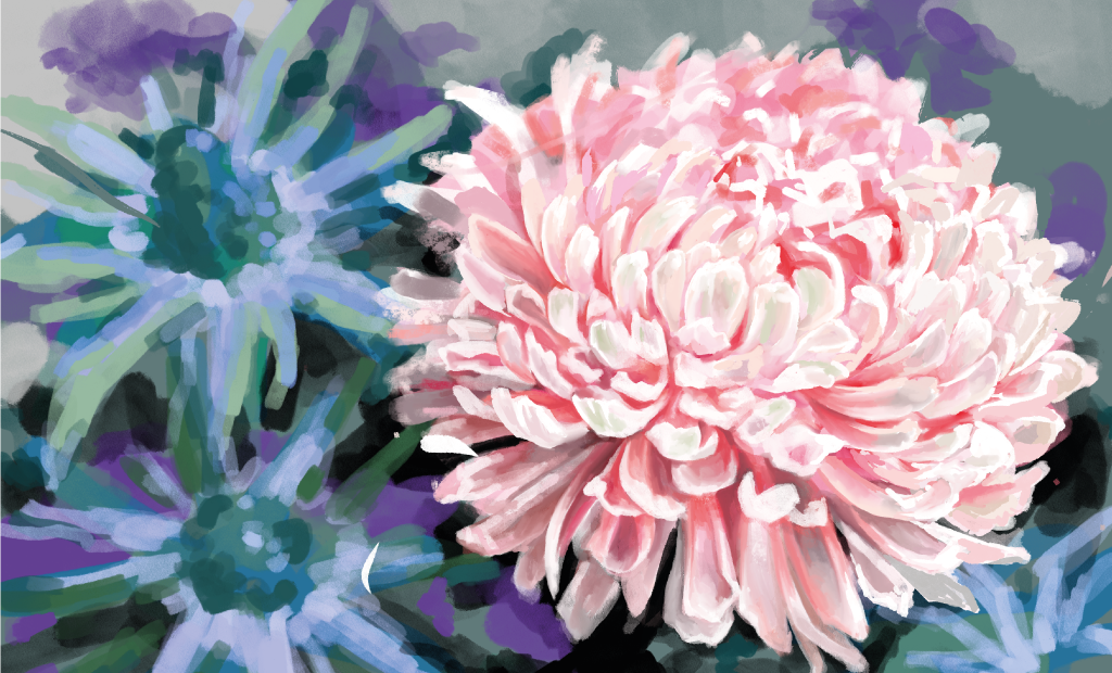  - Silja Schulthess Grafik und Illustration