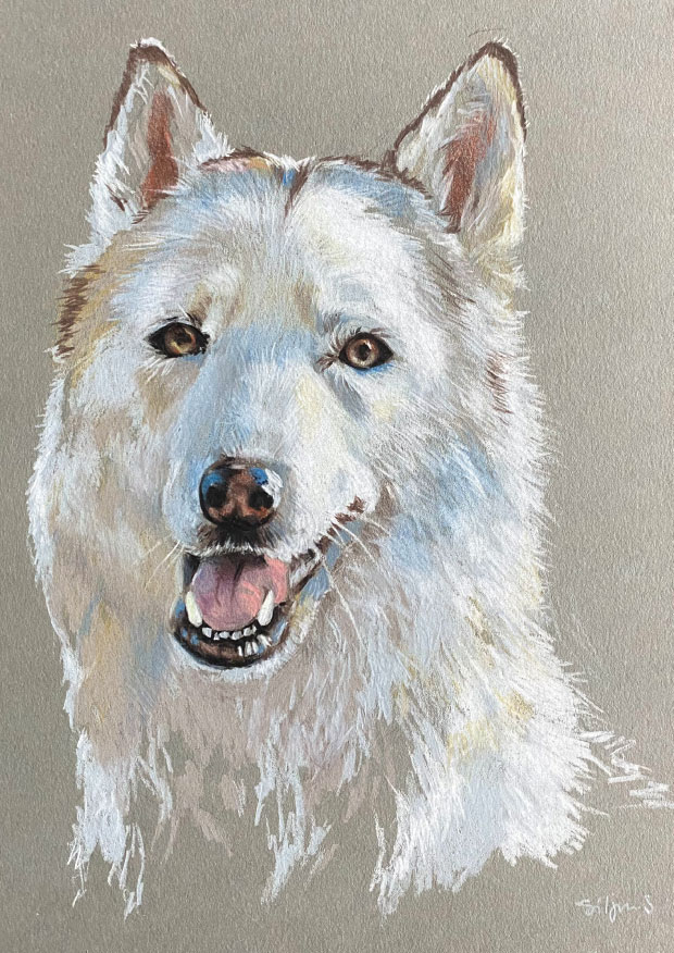 Thor_illu - Silja Schulthess Grafik und Illustration